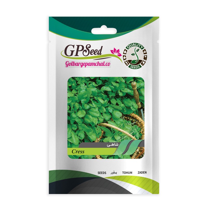 بذر شاهی گلبرگ پامچال کد GPF-152