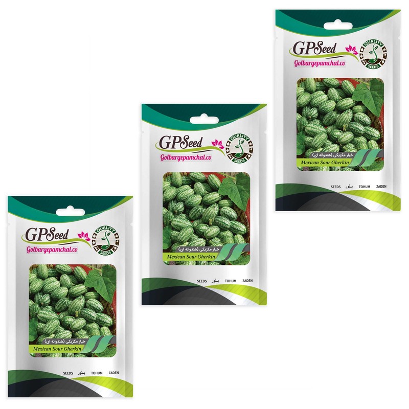 بذر میوه خیار مکزیکی هندوانه ای گلبرگ پامچال کد GPF-305 مجموعه 3 عددی