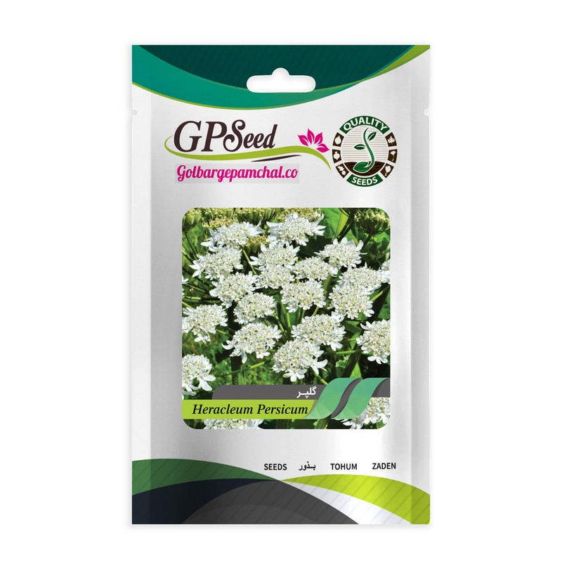 بذر گلپر گلبرگ پامچال کد GPF-219