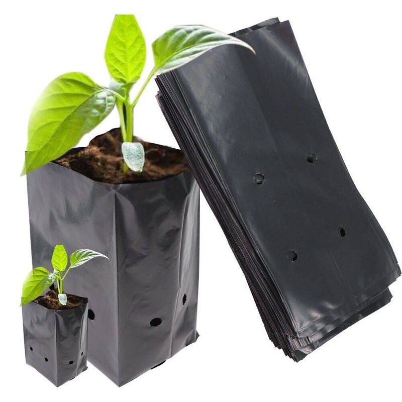 کیسه کاشت نهال مدل 30x35 بسته 50 عددی