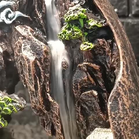 عود آبشاری (پالو سانتو) برند(دارشان) جدید