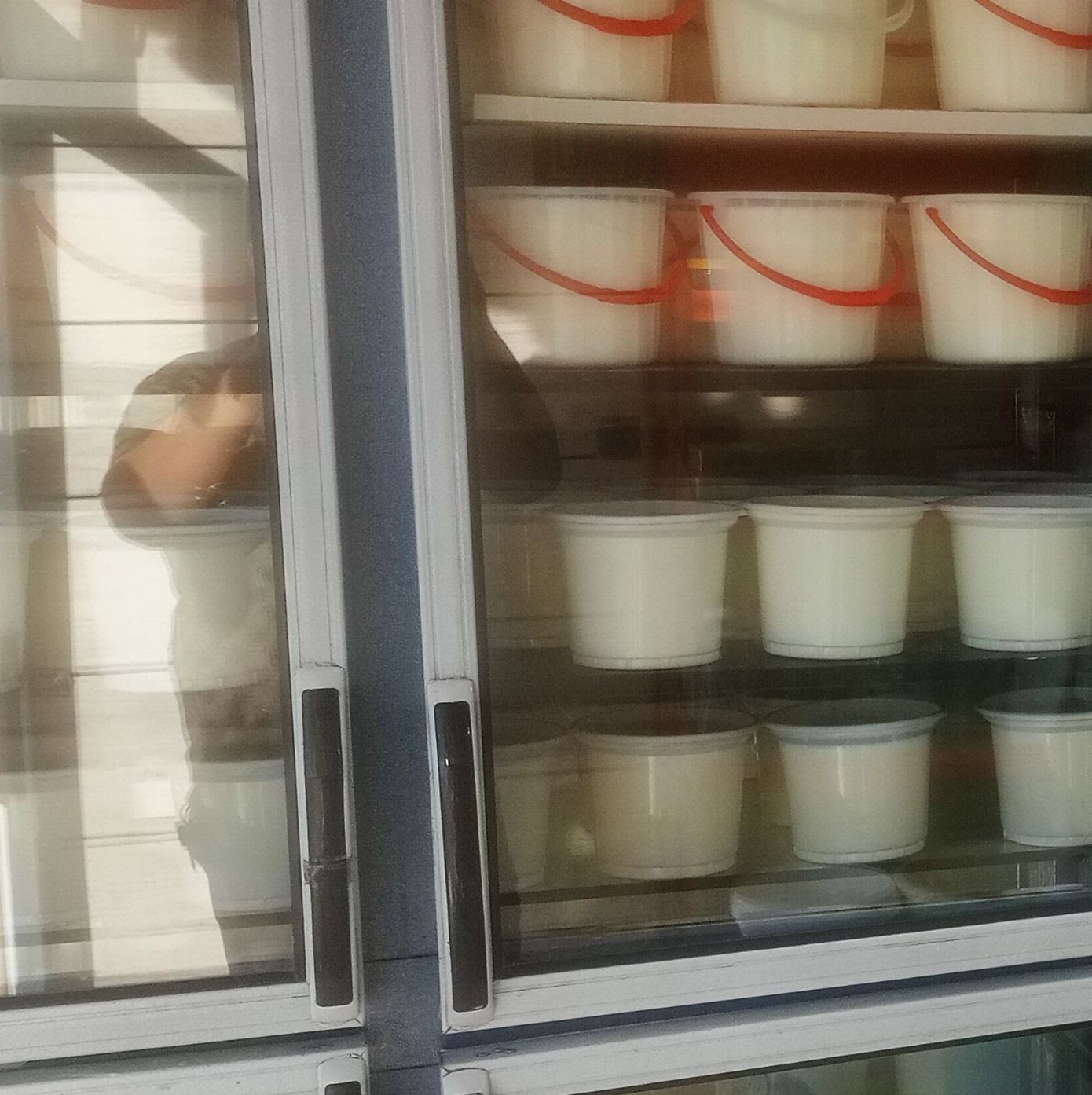 ماست گوسفندی 
