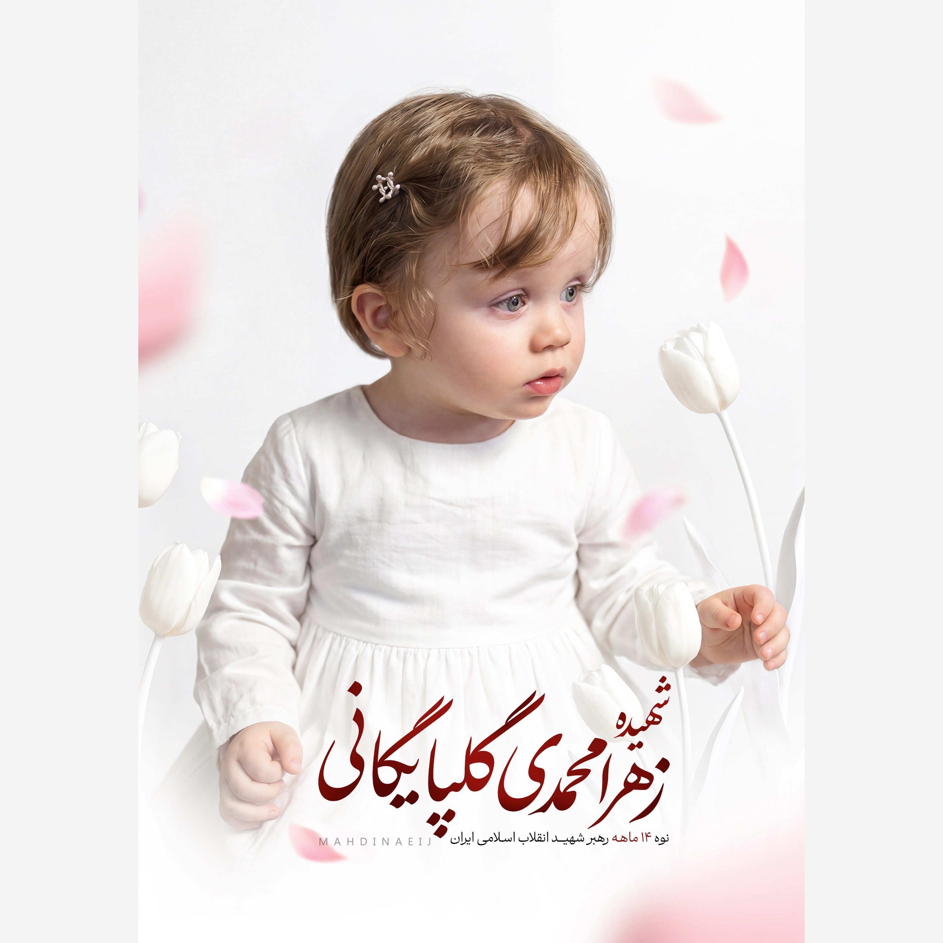 تابلو شاسی مدل شهیده زهرا محمدی گلپایگانی ، نوه رهبر شهید کد 70