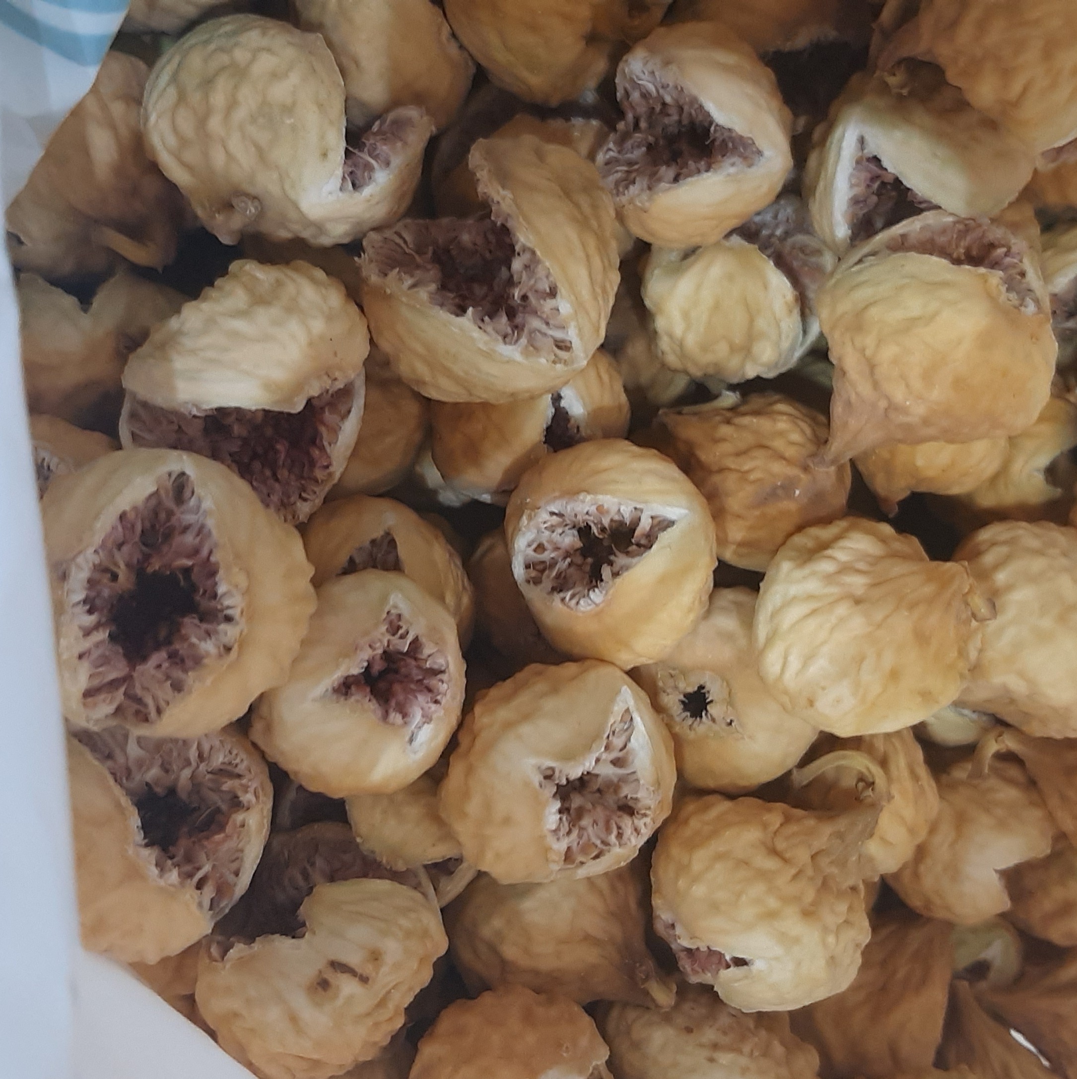 انجیر صدیک(یا به اصطلاح صادراتی)