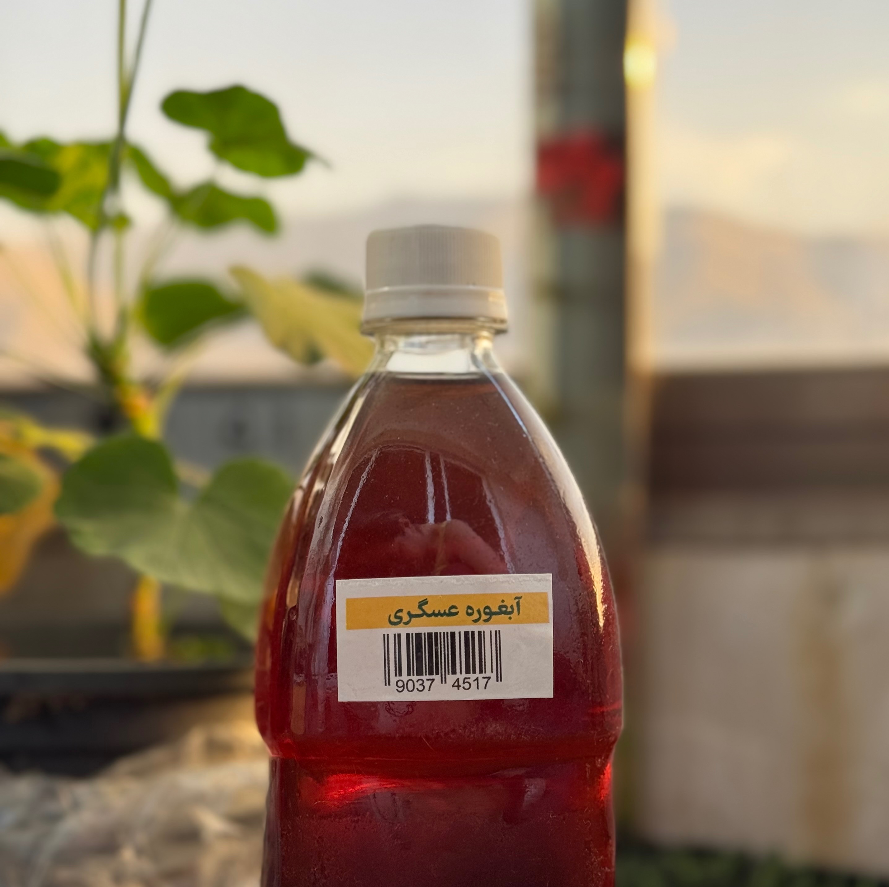 ابغوره عسگر