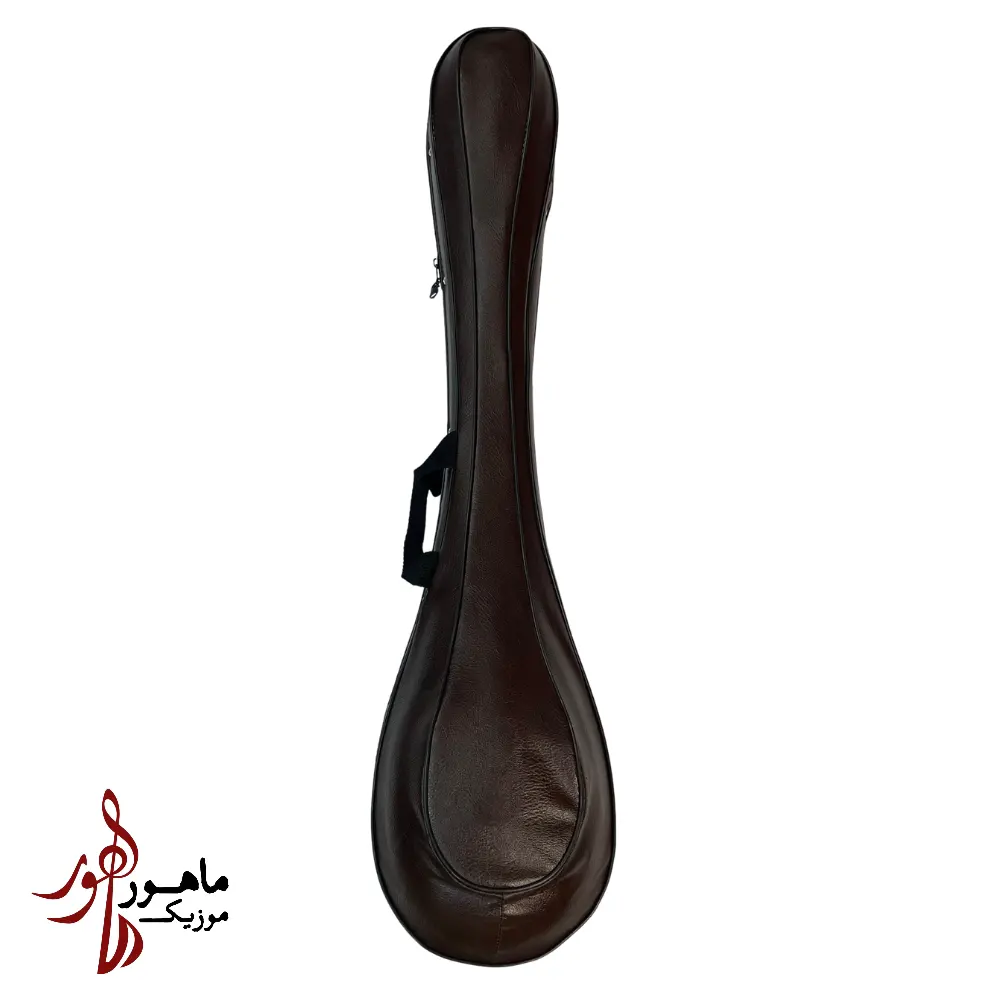 هاردکیس چرمی سه تار
