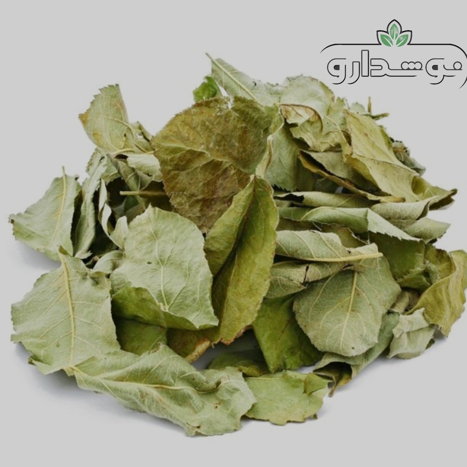 برگ به 10 کیلویی (ارسال رایگان)