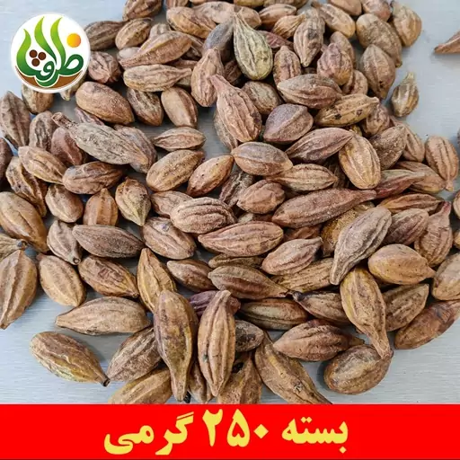 هلیله زرد ( کابلی ) ممتاز درجه یک ظرافت 250 گرمی