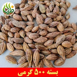 هلیله زرد ( کابلی ) ممتاز درجه یک ظرافت 500 گرمی