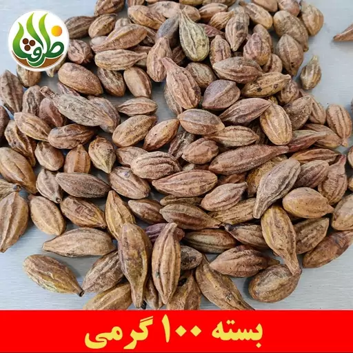 هلیله زرد ( کابلی ) ممتاز درجه یک ظرافت 100 گرمی