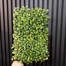 گرین وال (Green wall)