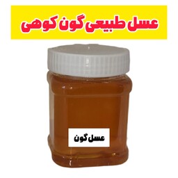 عسل طبیعی گون کوهی اصل کوهیار نیم کیلویی(خرید از زنبوردار) ارسال رایگان