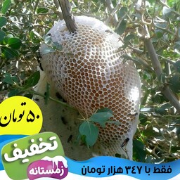 عسل جنگلی شفاهیر(شهد)(1 کیلوگرم)(ارسال فوری)(مستقیم از زنبوردار)