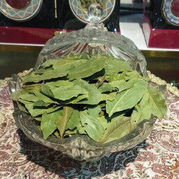 برگ بو درشت و تازه( 50گرمی )