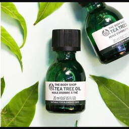 روغن درخت چای بادی شاپ Tea Tree Oil Body Shop