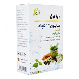 صابون 12 گیاه حاوی کرم 5880 پرنیان فدک (100 گرم)