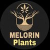 Melorin Plants