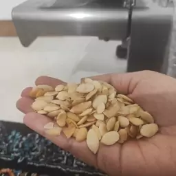 روغن آرگان مراکشی 100 درصد خالص وباکیفیت بسیاربالا  60سی سی 