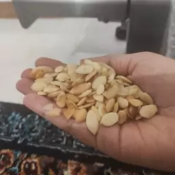 روغن آرگان مراکشی 100 درصد اصل و خالص 30 سی سی