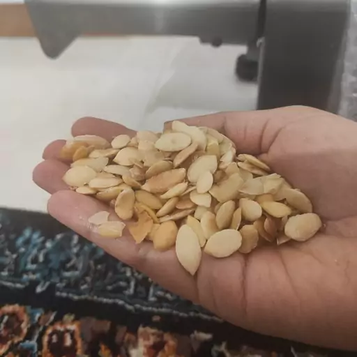 روغن آرگان مراکشی 100 درصد اصل و خالص 30 سی سی