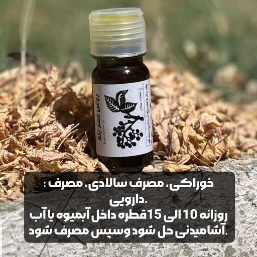 روغن بنه(پسته کوهی)