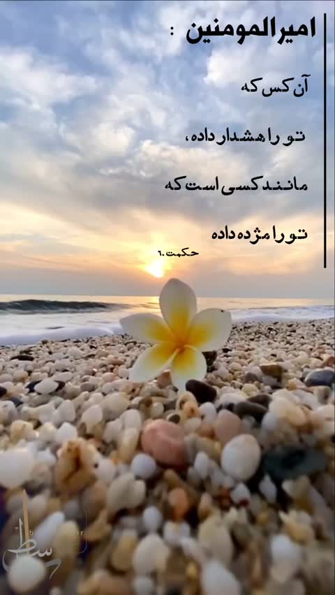 کتاب نهج البلاغه منظوم وزیری سلفون جلد سخت ترجمه شهاب تشکری آرانی-اسوه کد 104450