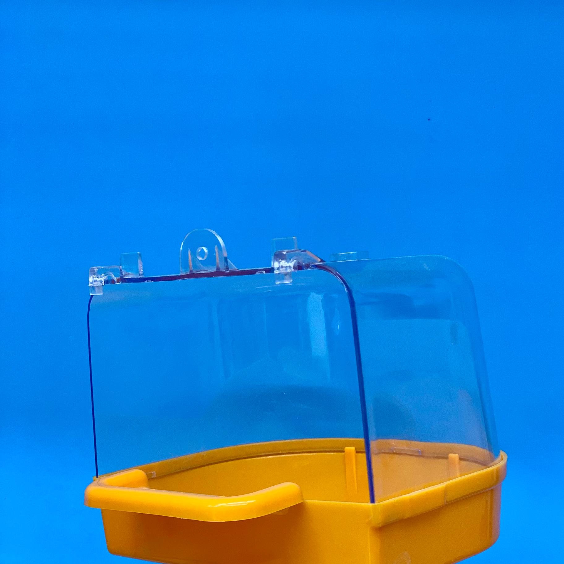 وان آبتنی پرنده