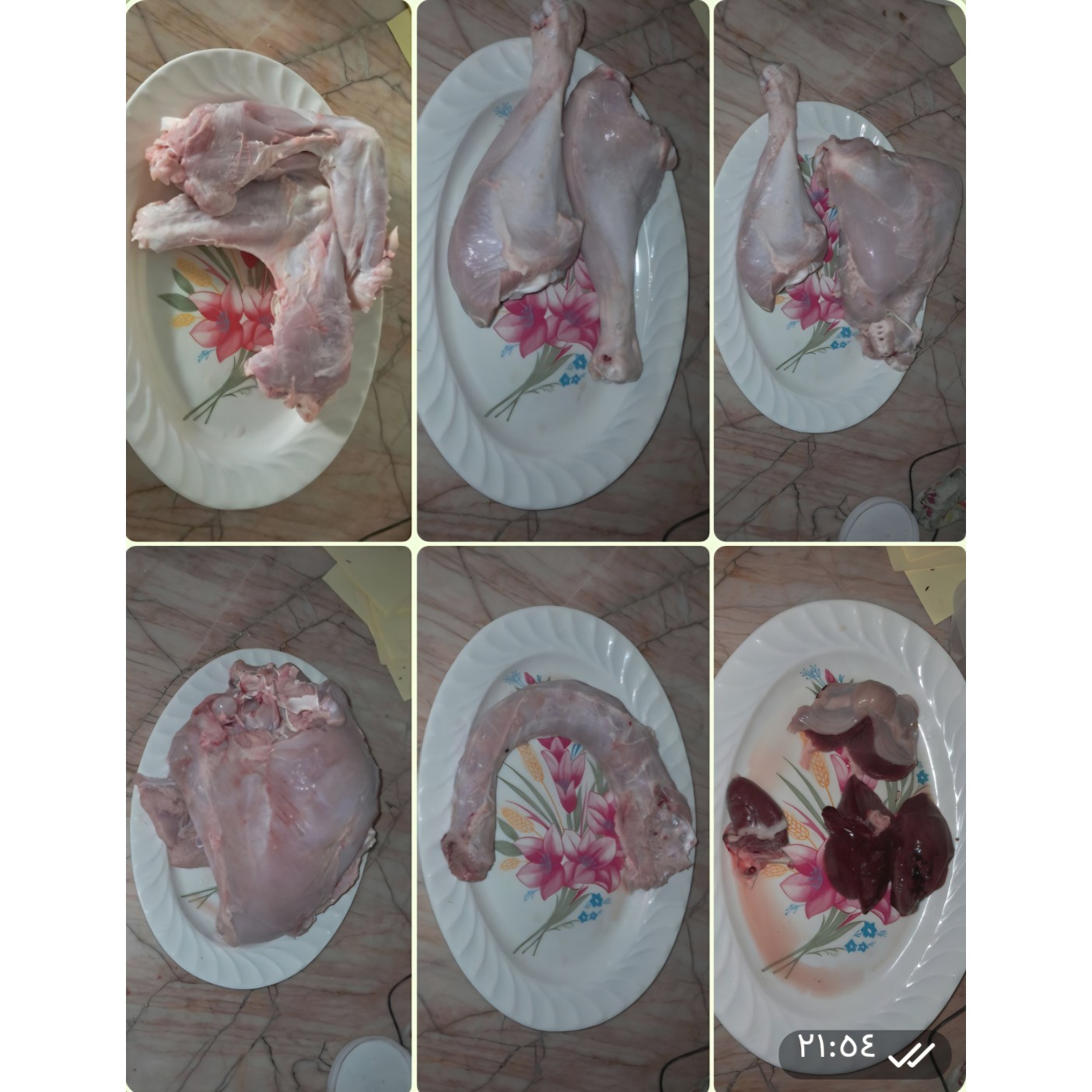 بوقلمون گوشتی 