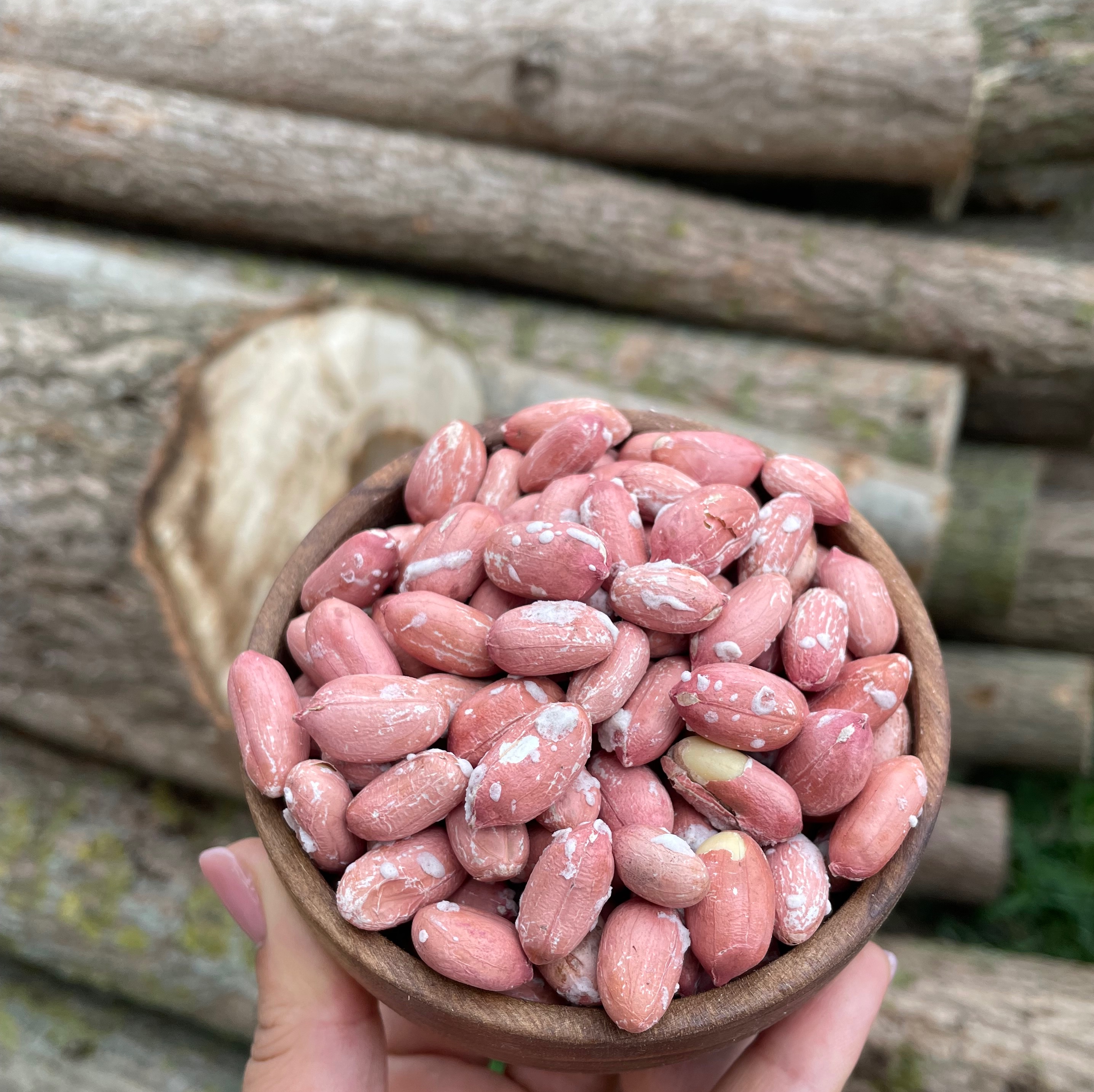 بادام زمینی محلی آستانه یک کیلویی