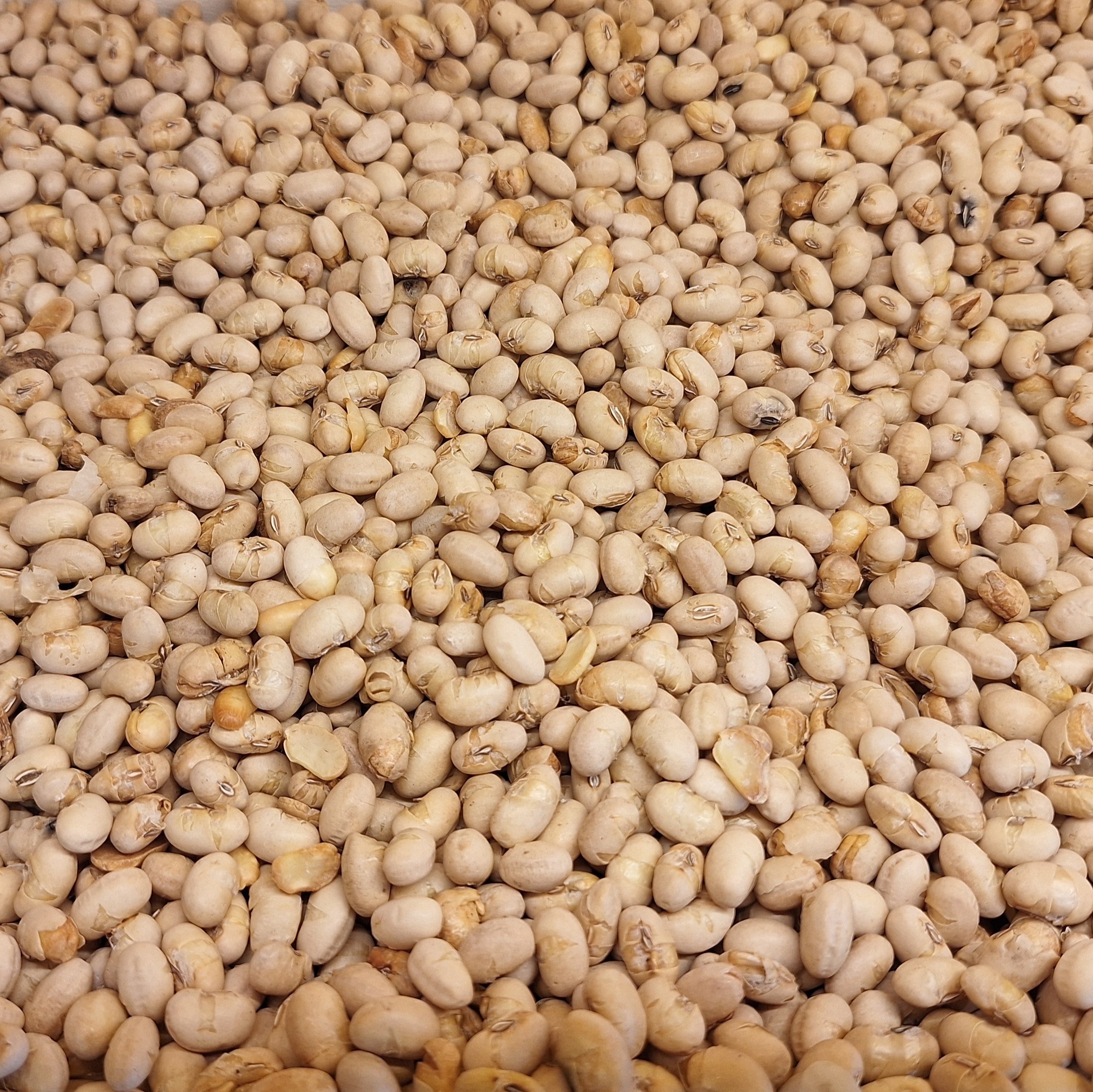 سویا آجیلی ترد و درجه یک 250 گرم