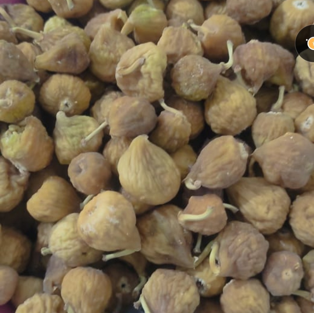 انجیر ریز گوشتی 
