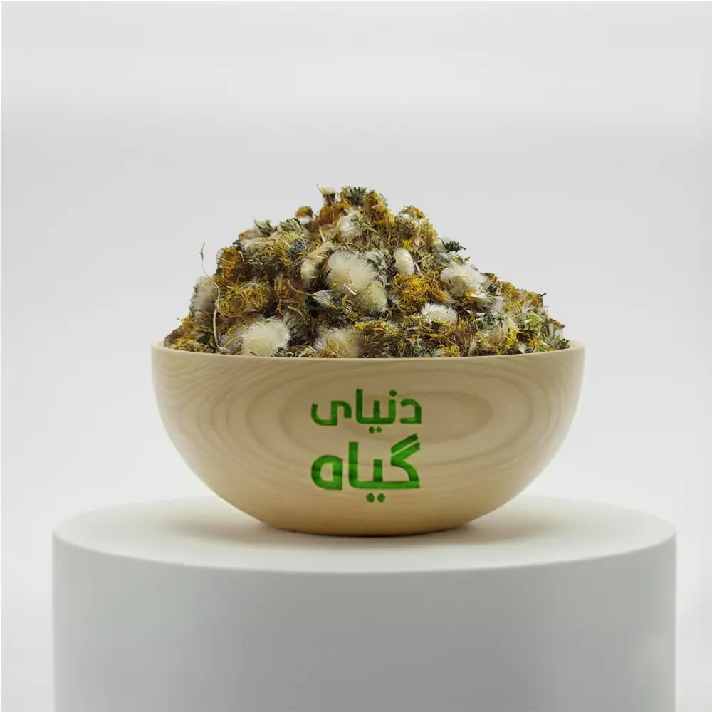 گل قاصدک