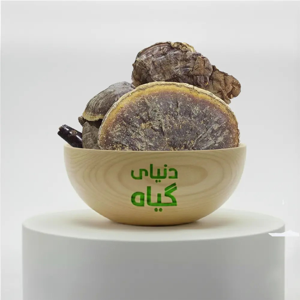 قارچ گانودرما
