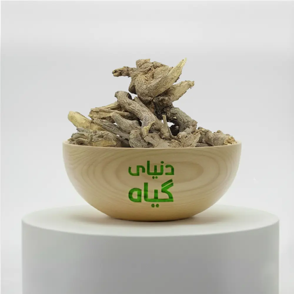 ریشه کور