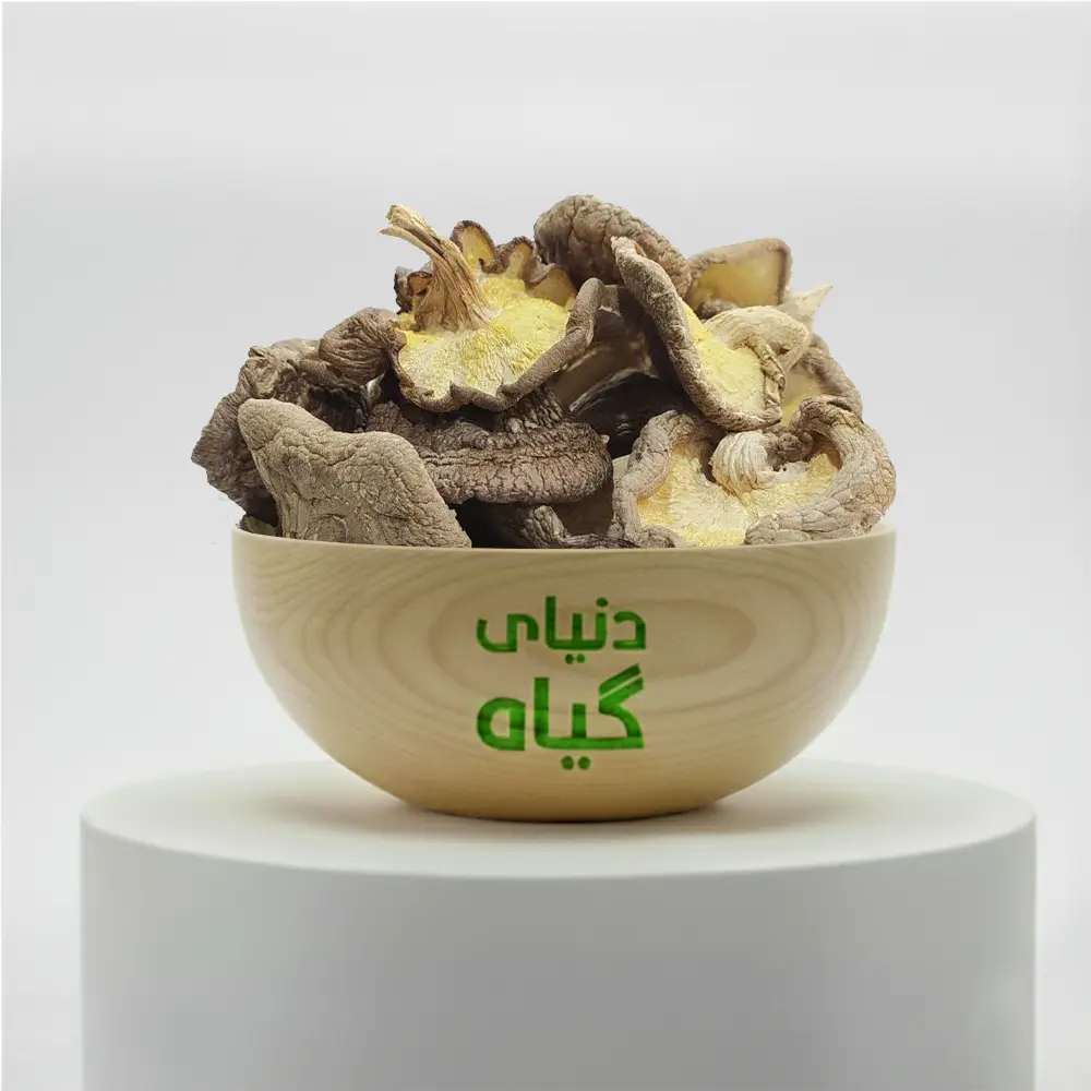 قارچ شیتاکه