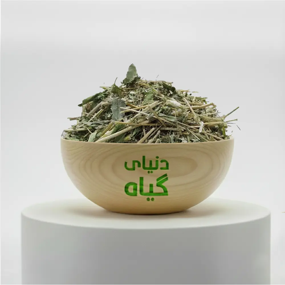 کاهو وحشی