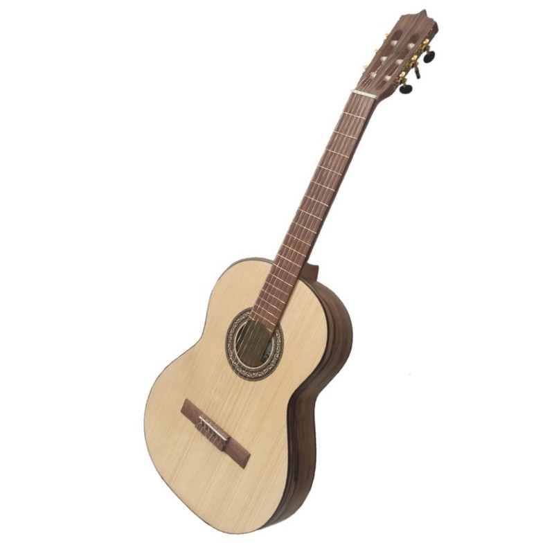 گیتار پارسی مدل p70