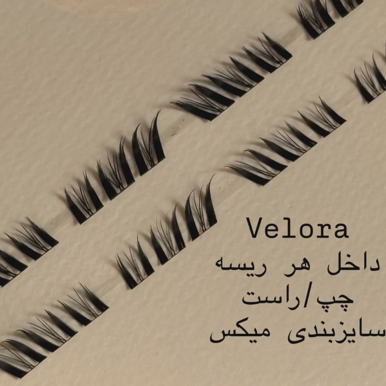 انیمه ولورا 