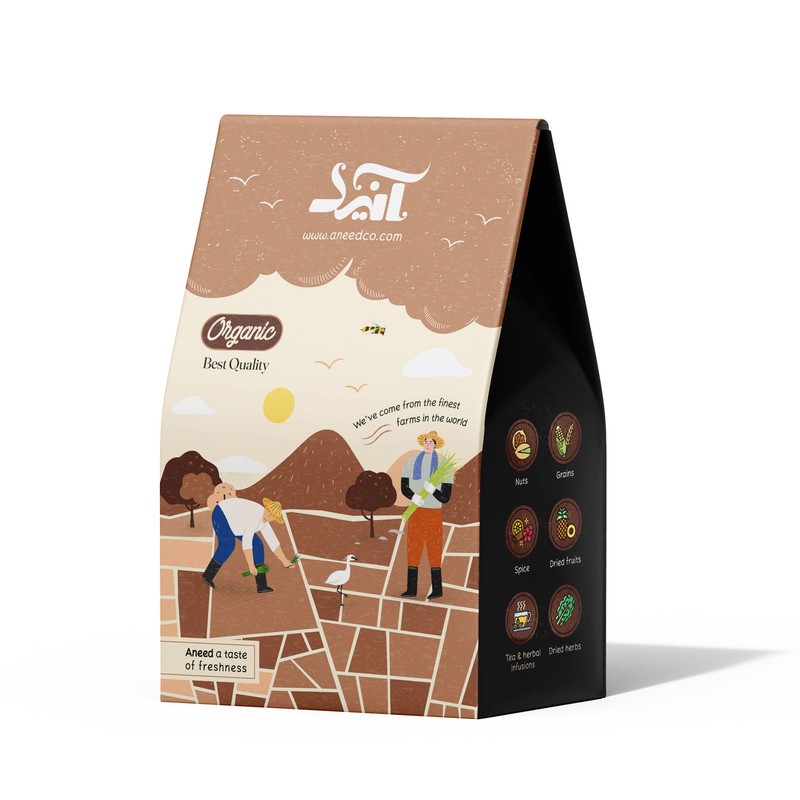 چاشنی آبگوشت و دیزی رویال آنید - 500 گرم