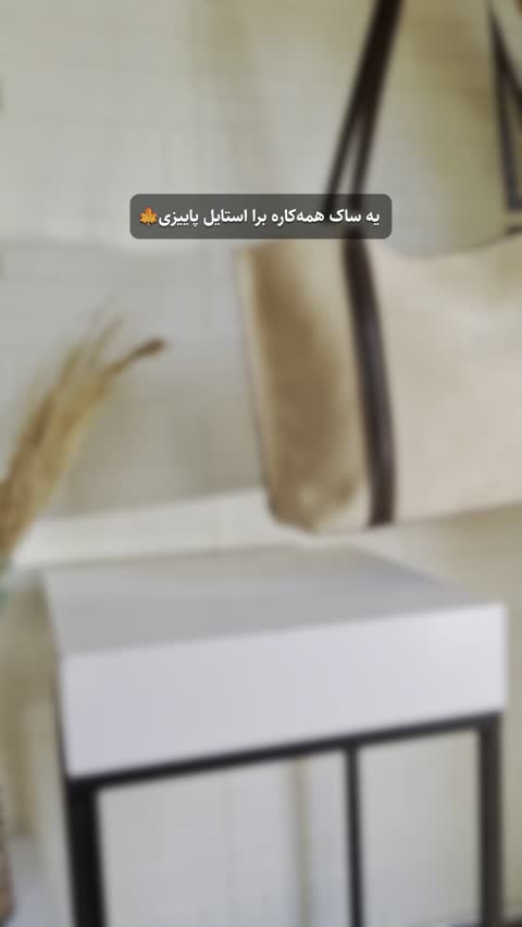 ساک دستی زیبا و بزرگ زنانه کد 610