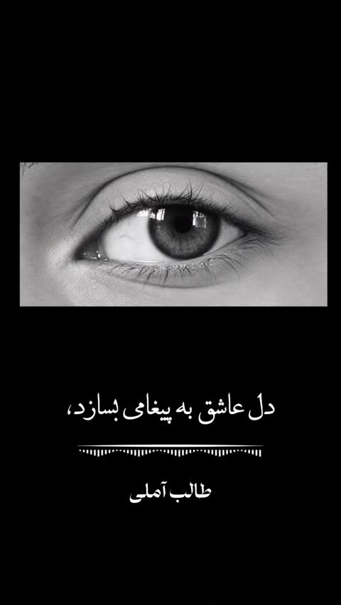 دیوان طالب آملی