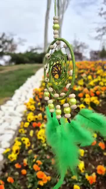 دریمکچر جوانه