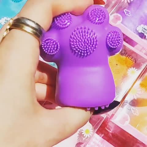 فیس براش پنجه گربه