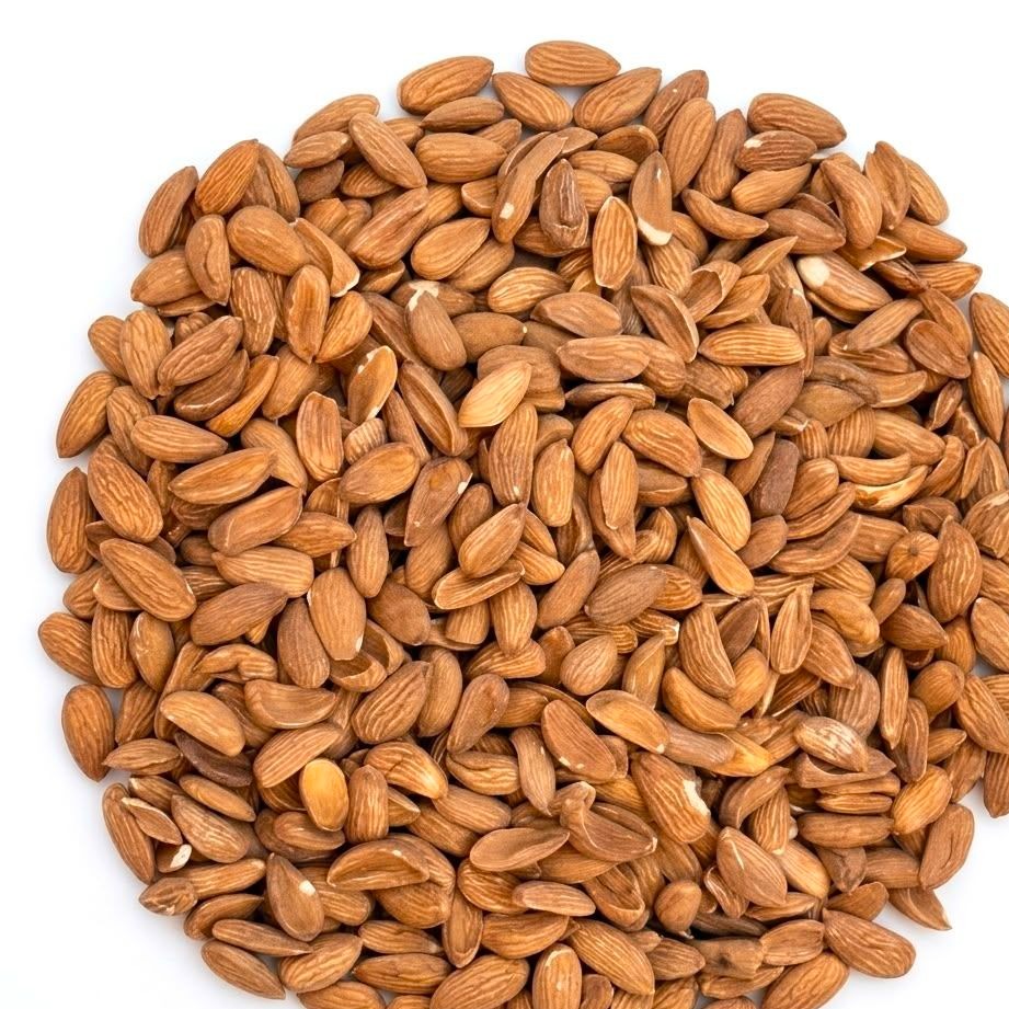 مغز بادام درختی خام 130 قوطی
