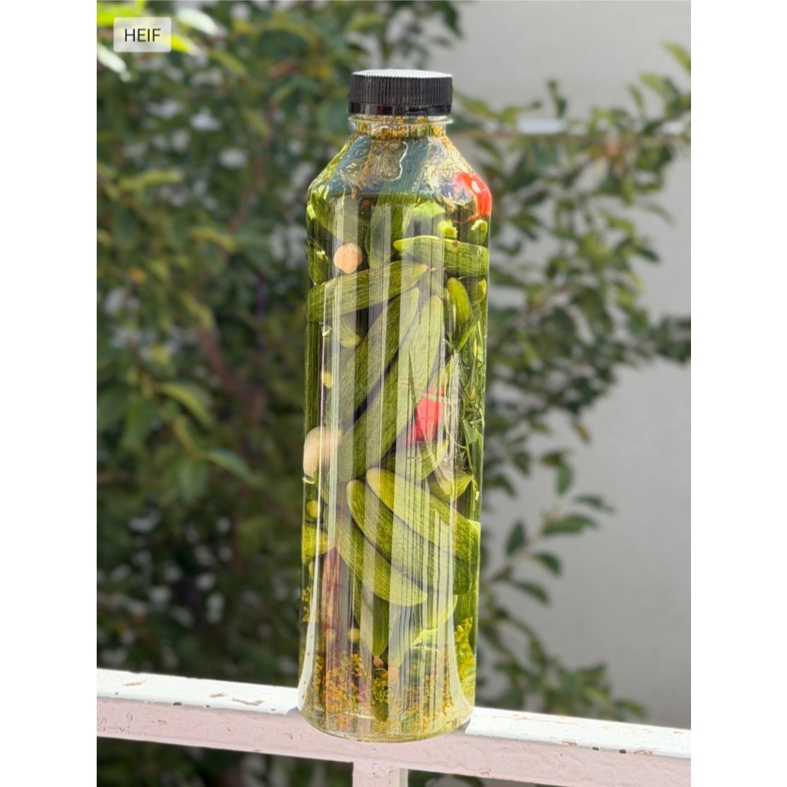 خیارشور سراب