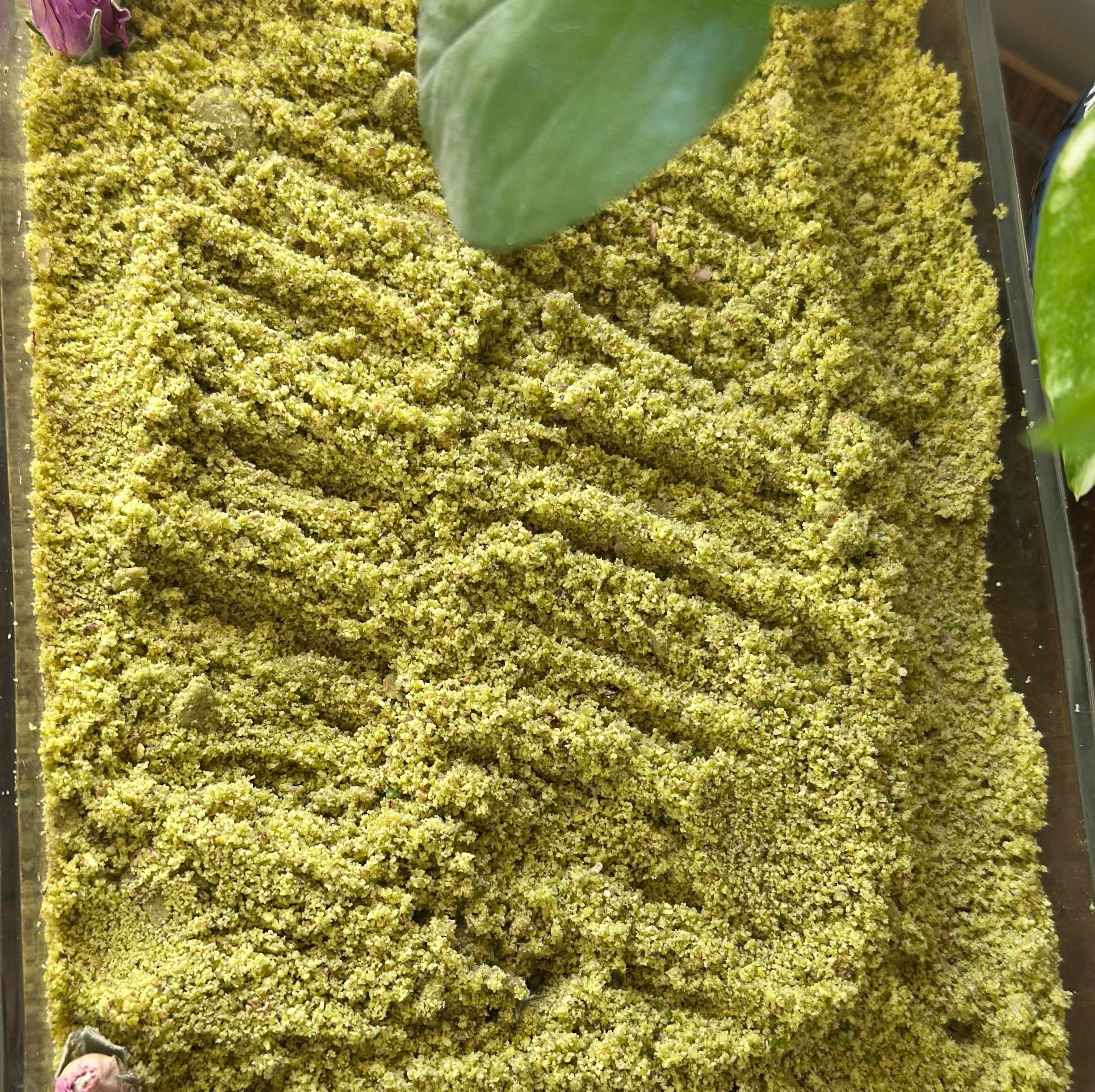 پودر پسته کله قوچی سبز اعلا
