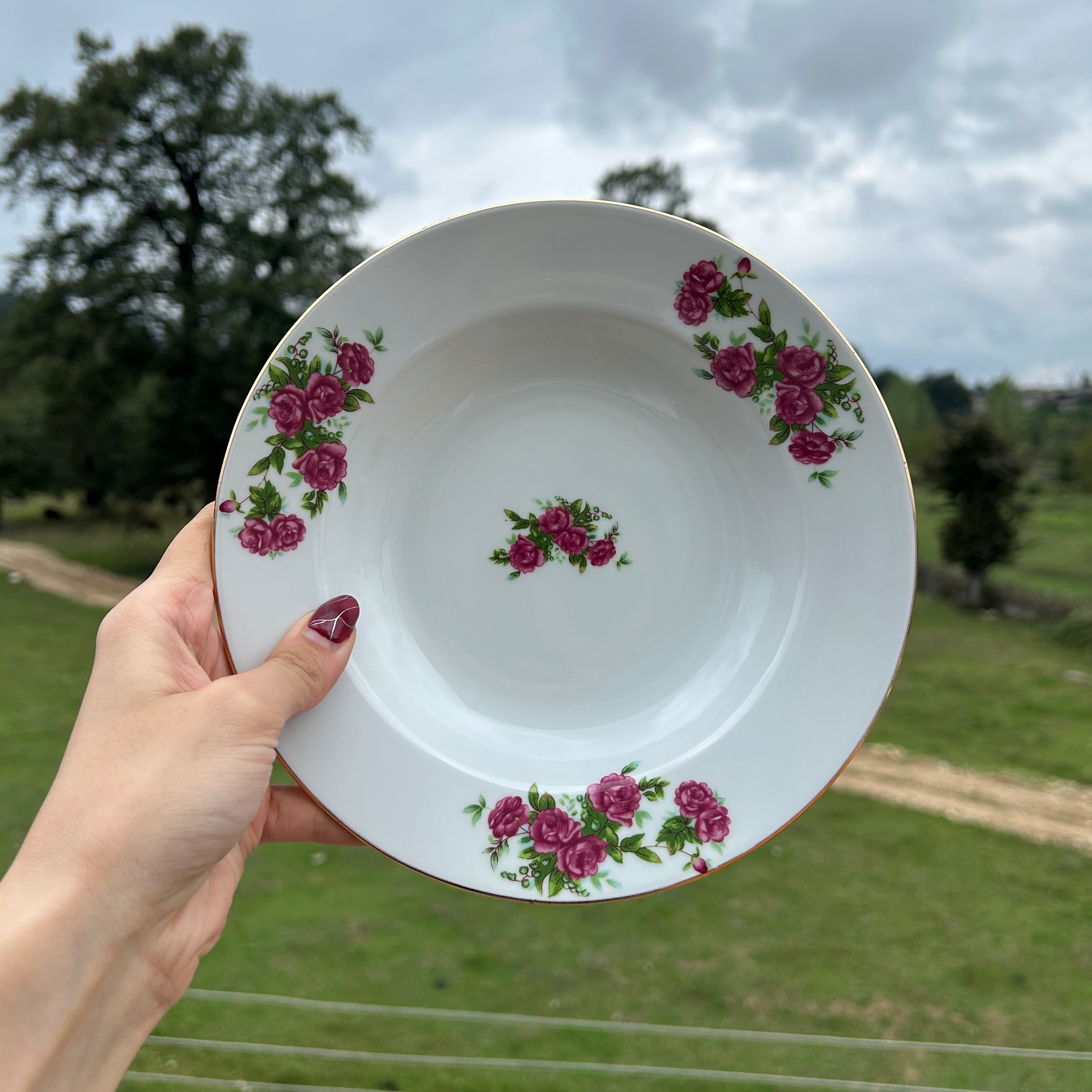 بشقاب فسنجون خوری گلسرخی