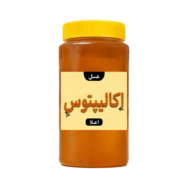 عسل اکالیپتوس اعلا بسته بندی یک کیلویی با ظرف کارتن 12 عددی