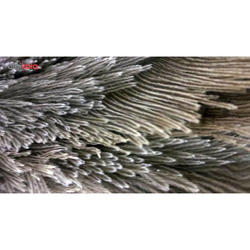 گردگیر آلین مدل Ostrich Feather 5