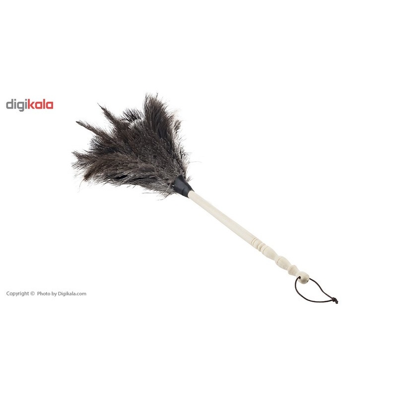 گردگیر مشهد داستر مدل Ostrich